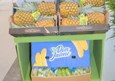 ExportJaime showcased their Ecuadorean pineapple and bananas in Madrid.